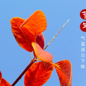 秋分‖云淡風(fēng)清揚(yáng)，秋色可分長(zhǎng)